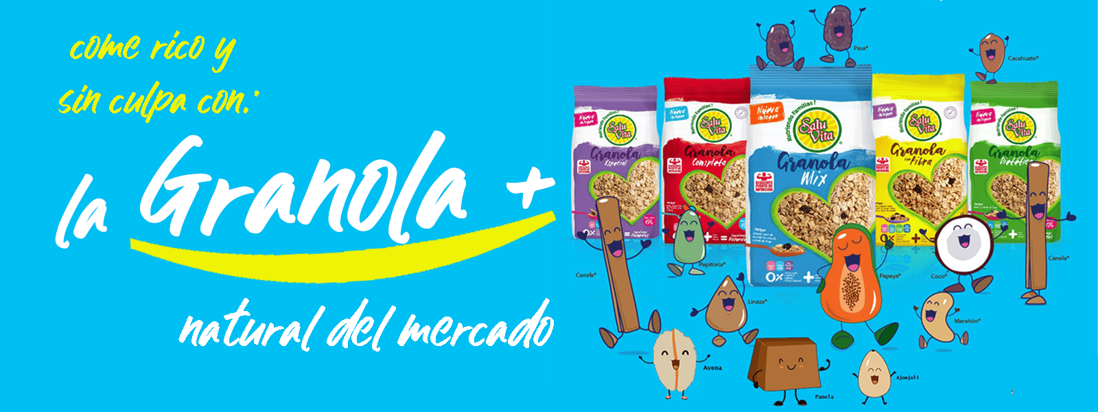 Granola 100% natural